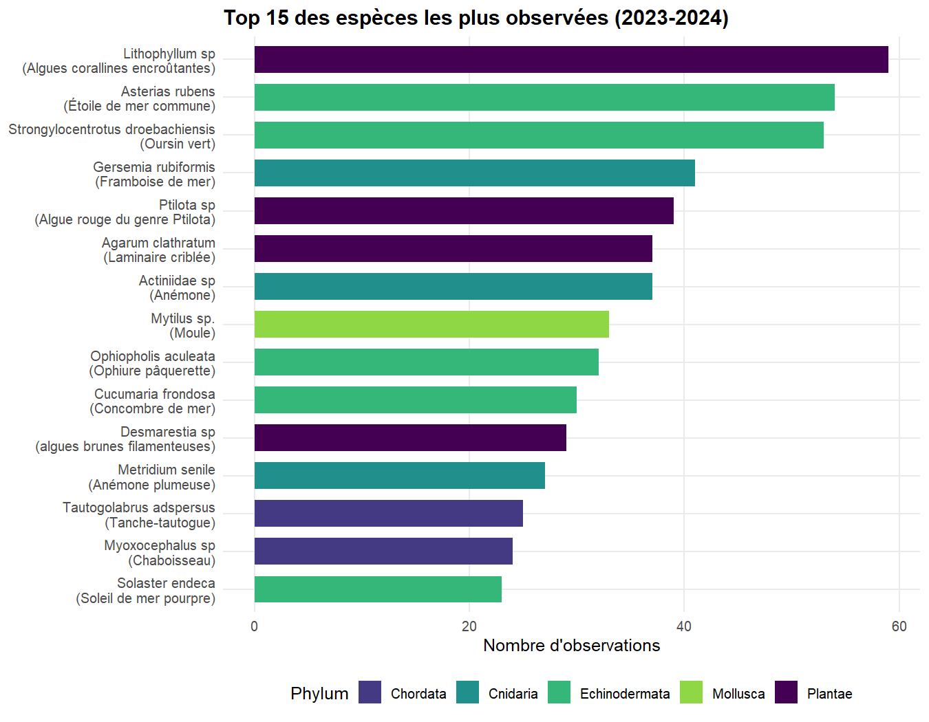 Classement des quinze espèces les plus observées à Saint-Pierre-et-Miquelon en 2023 et 2024